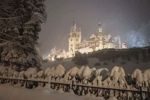 Residence Sinaia Apartments Appartement *